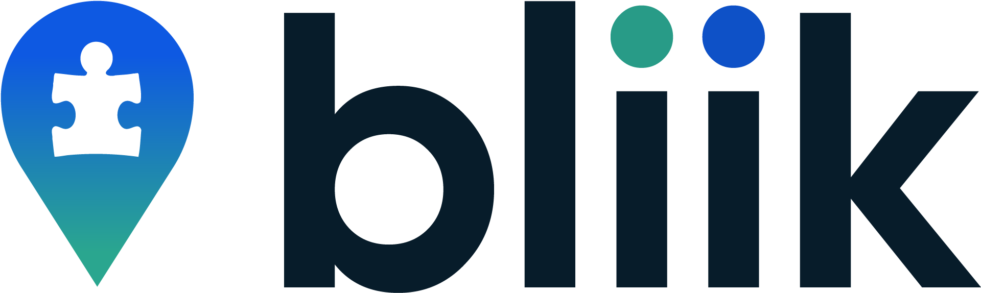 Bliik Logo